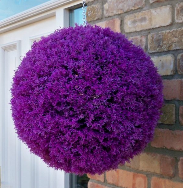 Purple heather topiary ball