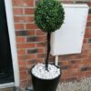 Pair of artificial topiary ball trees with planters (3ft) - Image 3