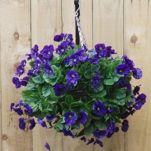 Artificial purple pansies hanging basket