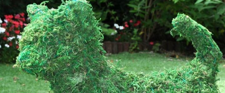 Artificial topiary buying guide