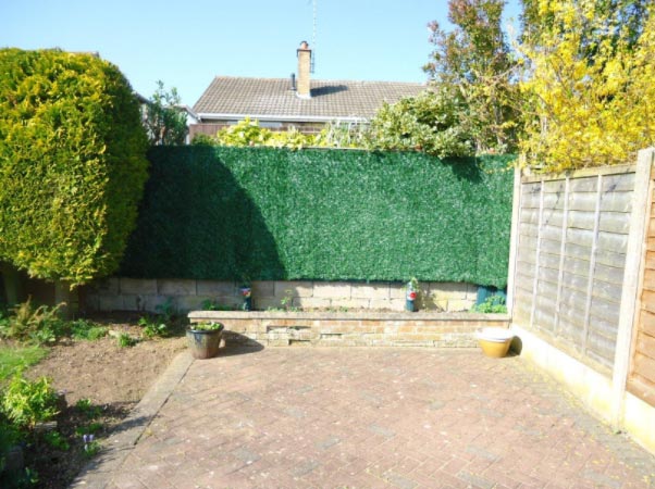 Artificial hedge - afterwards