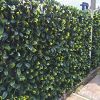 Instant artificial hedge